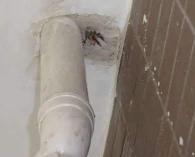 北戴河漏水检测哪家好